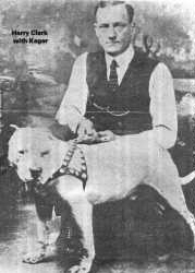 GR CH CLARK'S TRAMP (ARMITAGE'S KAGER)