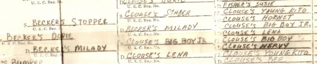 BECKER'S MILADY (CLOUSE'S)
