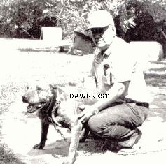 CH MASON'S HOG