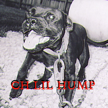 CH DIRTY SOUTH KENNELS LIL HUMP 4XW