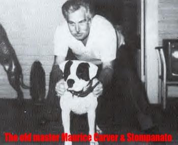 P. CARVER'S STOMPANATO ROM