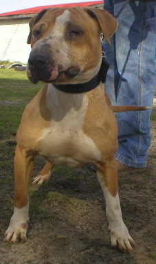 RUFF N TUFF'S FREAK