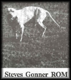 RANDY'S GONNER (1XW) ROM