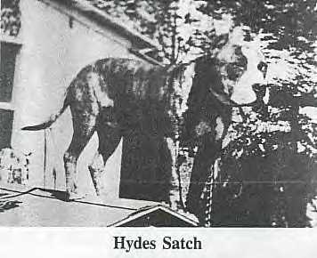 HYDE'S  SATCH (CARVER'S)