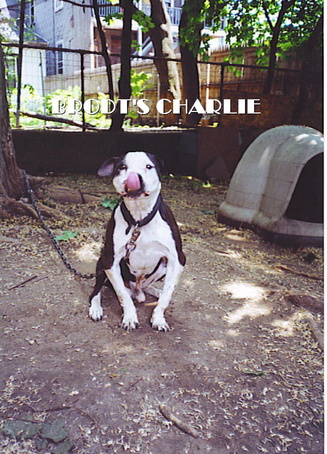 BRODT'S CHARLIE