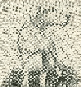 CLOUSE'S WAKKIE