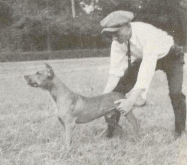 TUDOR'S RED JACK
