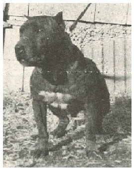 CH CLOUSE'S BIG BOY