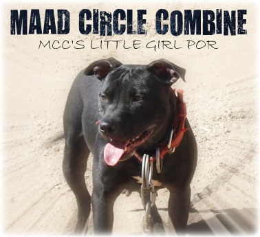 MCC'S LITTLE GIRL (POR)MAAD CIRCLE COMBINE