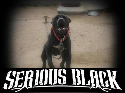 CH SERIOUS BLΛCK 3ΧMAAD CIRCLE COMBIN