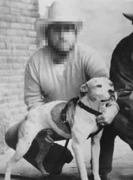 CH CRENSHAW'S CHARLIE (4XW)