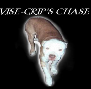 VISE-GRIPS CHASE (POR)