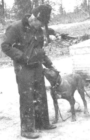 PR HEMPHILL'S WILDER'S GERONIMO II