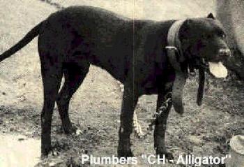 CH PLUMBER'S ALLIGATOR POR