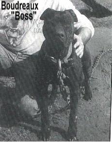 BOUDREAUX'  BOSS