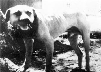 CH CRENSHAW'S OTIS ROM