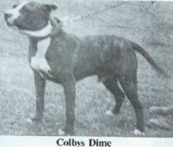 COLBY'S DIME