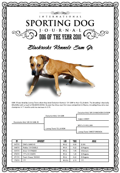 GR CH BLACKROCKS KENNEL'S SAM JR (6XW) SDJ DOY 2010