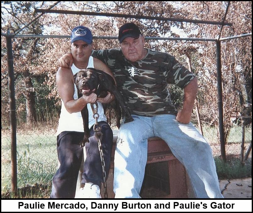 ^PAULIE'S GATOR (1XW)