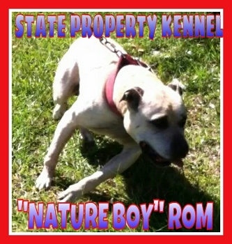 STATE PROPERTY KENNEL''NATURE BOY'' ROM