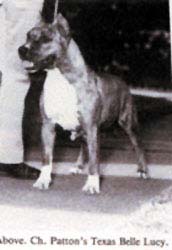 CH PATTONS TEXAS BELLE LUCY
