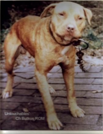CH CH. UNTOUCHABLES' BUTKUS (ROM)