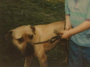 CARROLLS JITTERBUG AKA CHOPPER