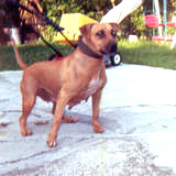 JULIETA ROM