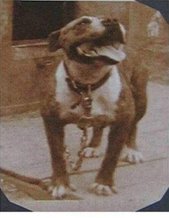 COLBY'S MABEL (1934)