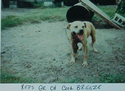 GR CH R.E.P.'S COOL BREEZE