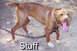 MIMS' STUFF (POR)
