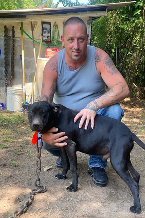 BAD BOY KENNEL'S BOSS HOGG