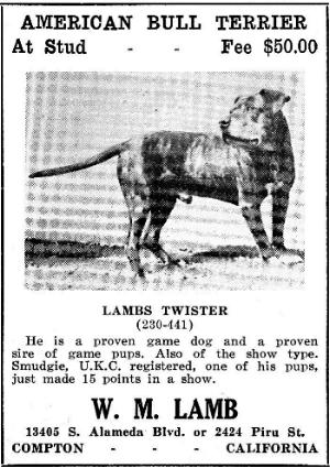LAMB'S TWISTER
