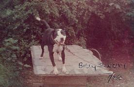 HYDE'S BILLY SUNDAY