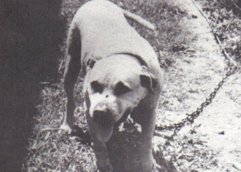 BOUDREAUX' & FAVRES BILLY BOY