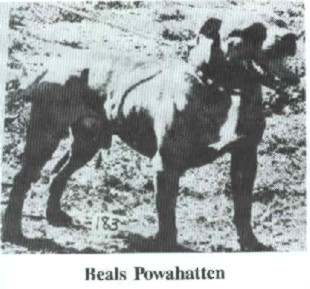 BEAL'S POWHATTAN