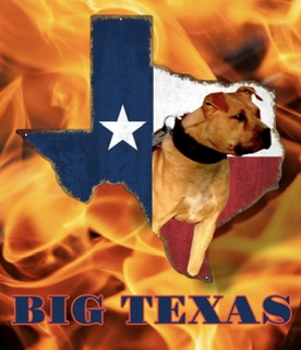 ^LACEFIELD’S BIG TEXAS