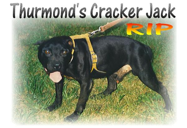 (THURMOND'S) EUNICE'S CRACKER JACK ROM