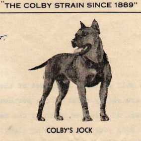 COLBY'S  JOCK
