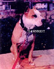WOOD'S SNOOTY (2XW)(2XL) ROM