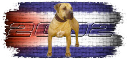 GR CH LATIN FORCE KENNEL'S BARRACUDA (9XW) ROM