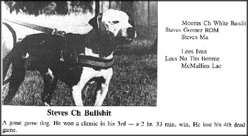 CH STEVE'S BULLSHIT (3XW)(1XLG) (1XL)