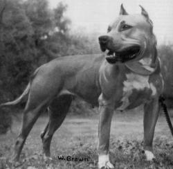 SUGARFOOT OF LOU-LIN