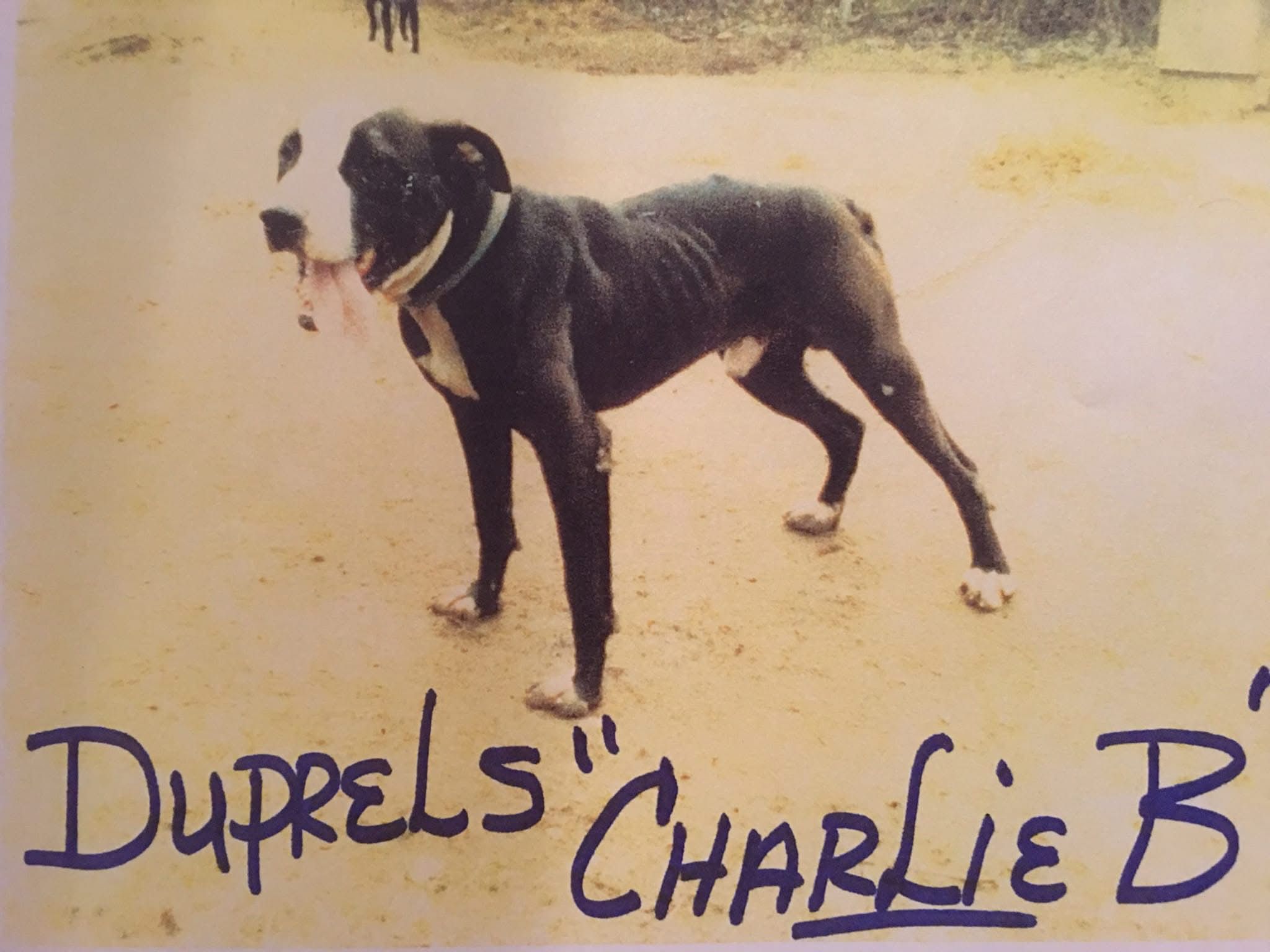 R. DUPREL'S CHARLIE B
