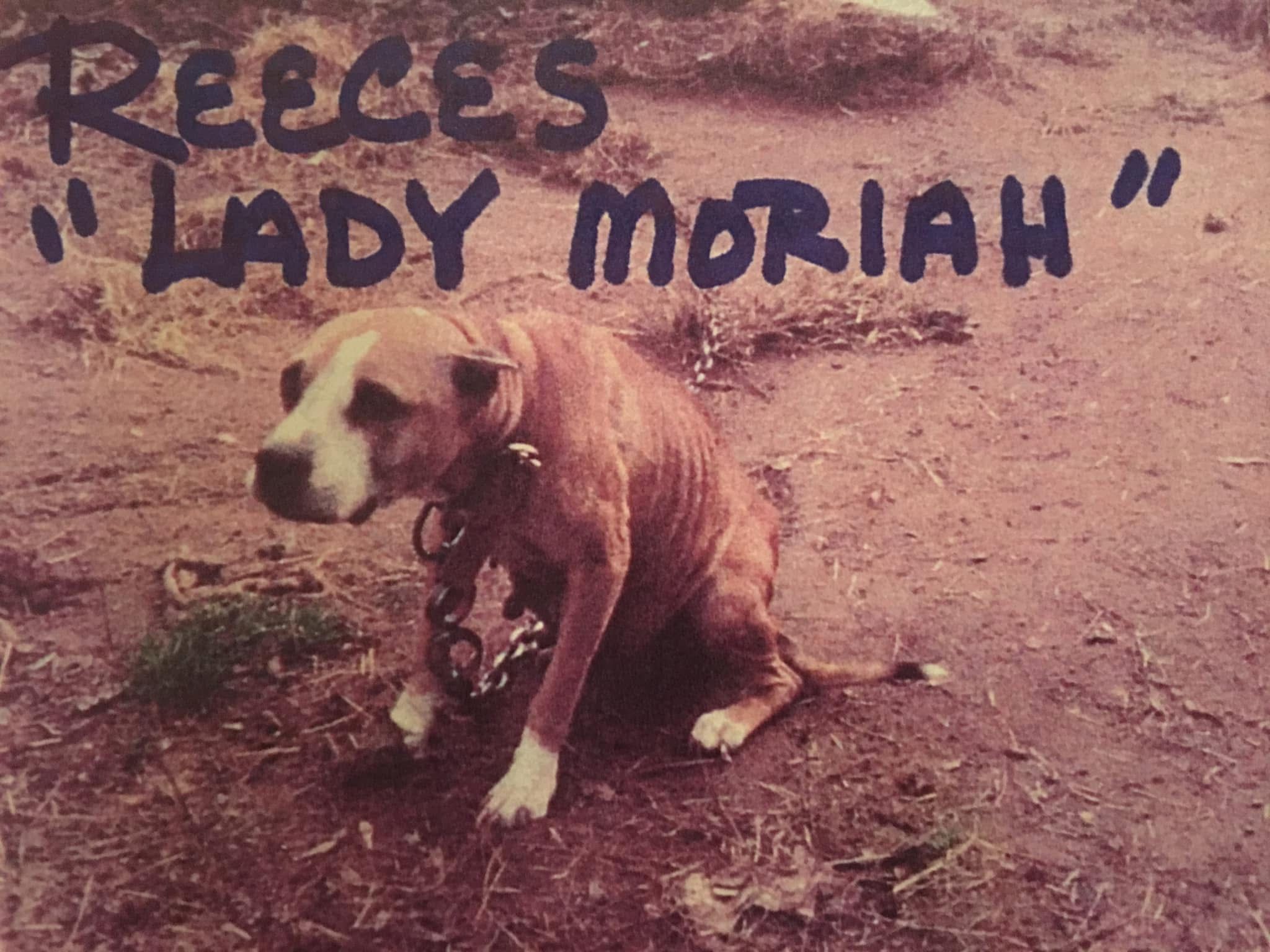 REECES’ LADY MORIAH
