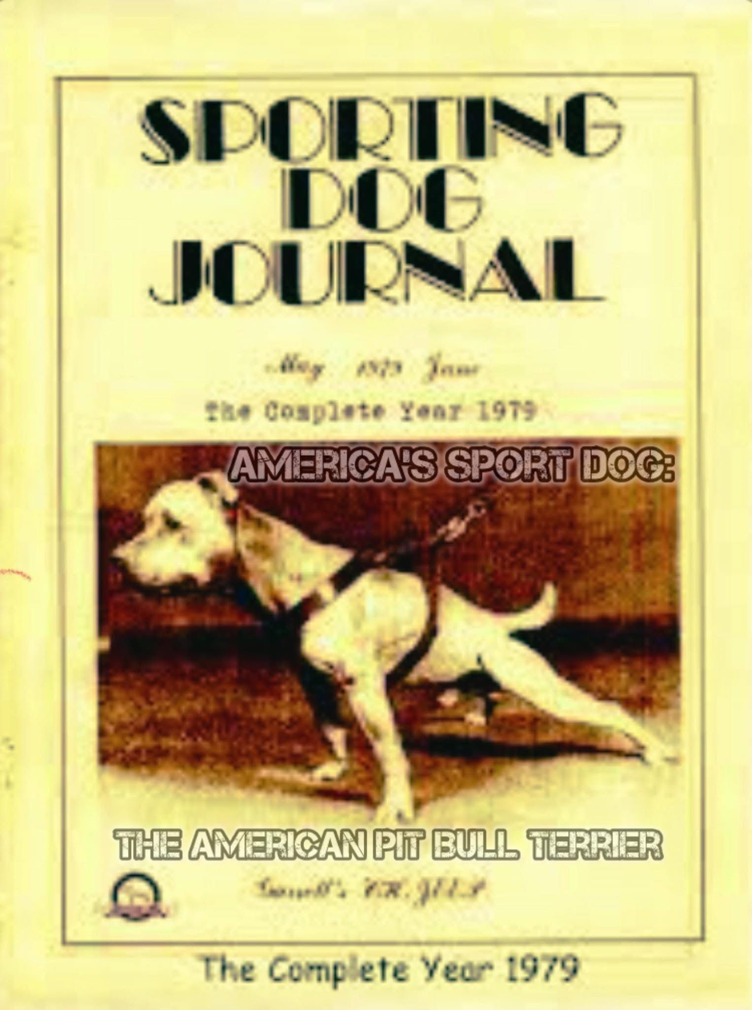 ELITE SUPER JEEP BREEDING